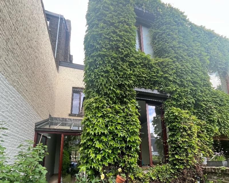 Milieux ligneux